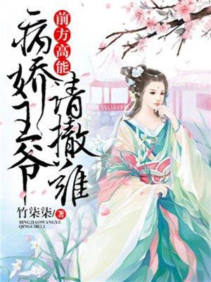 前方高能:病娇王爷请撤离